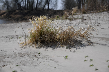 Similar image 22194198