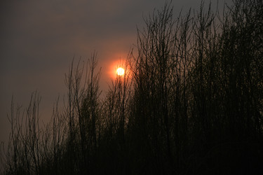 Similar image 22194201