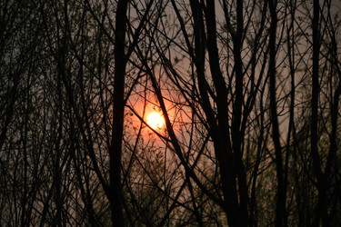 Similar image 22194204