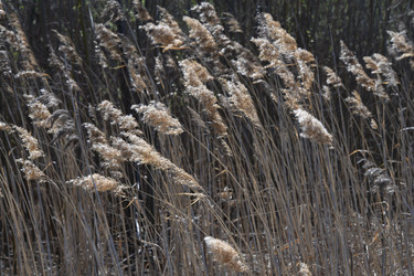 Similar image 22194210