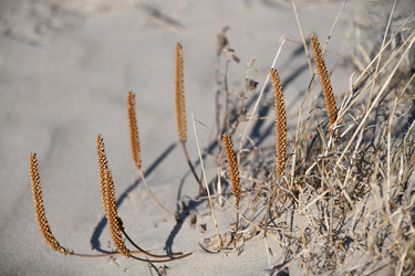 Similar image 22194213