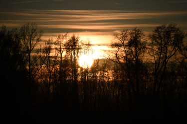 Similar image 22194216