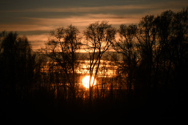 Similar image 22194218