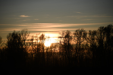 Similar image 22194219