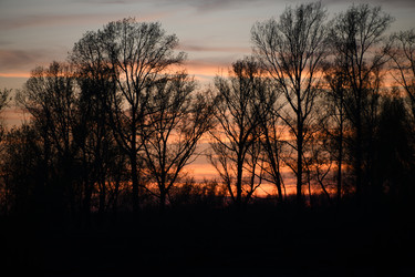 Similar image 22194222