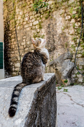 Similar image 22194282