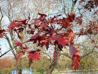 Similar image 22194650