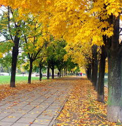 Similar image 22194653