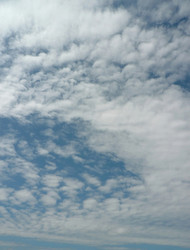 Similar image 22194656