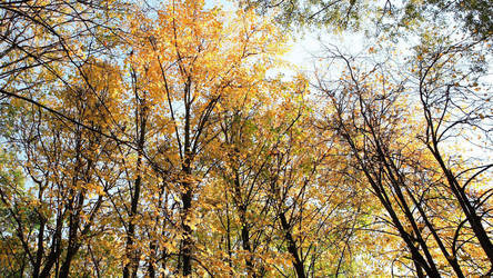 Similar image 22194659