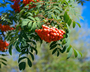 Similar image 22194666