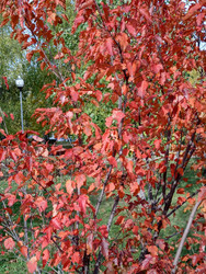 Similar image 22194781