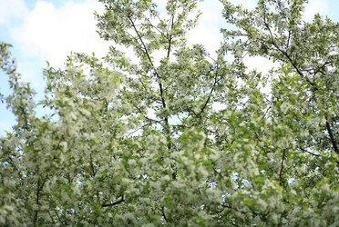 Similar image 22194784