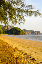 Similar image 22194223