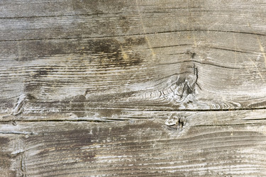 Similar image 22194230