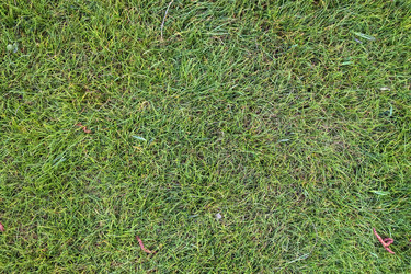 Similar image 22194232