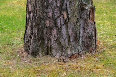 Similar image 22194236