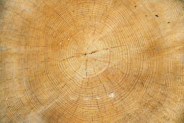 Similar image 22194240