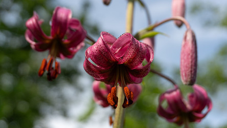 Similar image 22194145