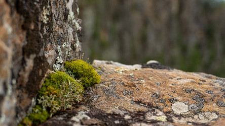 Similar image 22194146