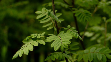 Similar image 22194148