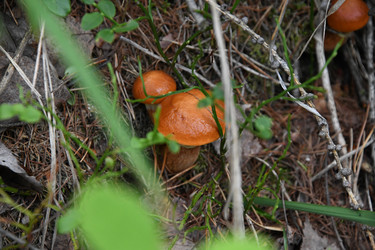 Similar image 22194342