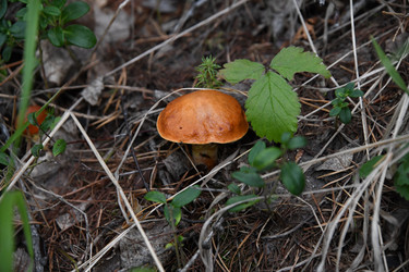 Similar image 22194343