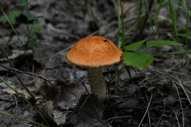 Similar image 22194344