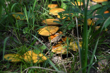 Similar image 22194345