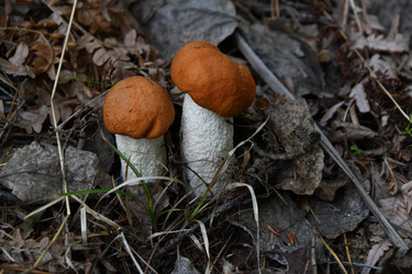 Similar image 22194346