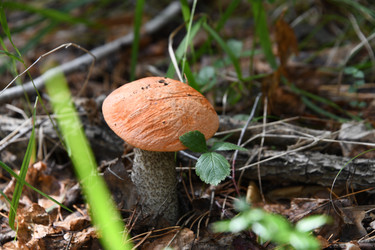 Similar image 22194347