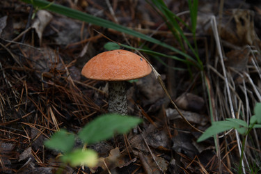 Similar image 22194348