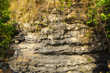 Similar image 22194288