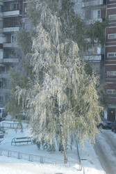 Similar image 22194354