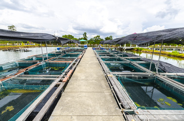 Similar image 22194246