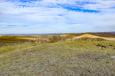 Similar image 22194496