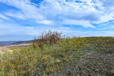 Similar image 22194497