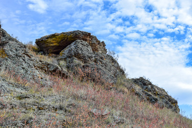 Similar image 22194669