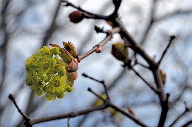 Similar image 22194683