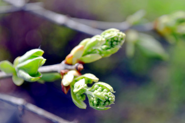 Similar image 22194684