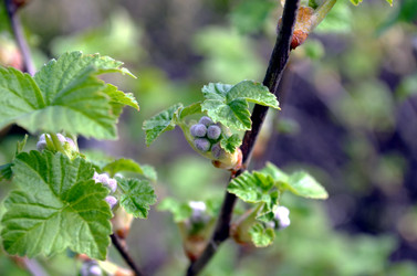 Similar image 22194685