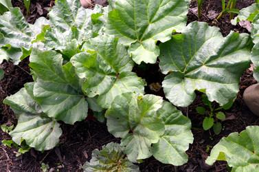 Similar image 22194686