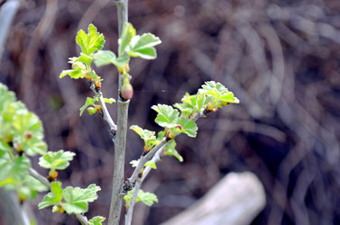 Similar image 22194689