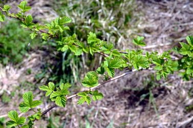 Similar image 22194694