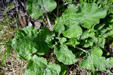 Similar image 22194695