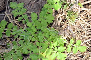 Similar image 22194696