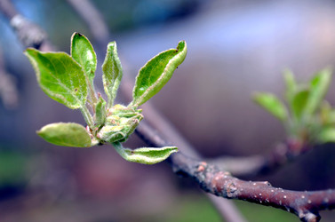 Similar image 22194702