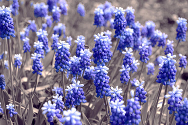 Similar image 22194716