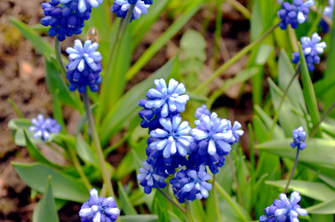 Similar image 22194717