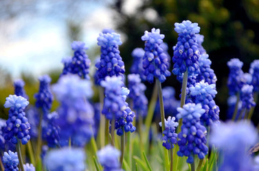 Similar image 22194718